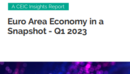Euro Area Economy in a Snapshot Q1 2023 Report