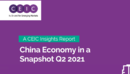 China Economy in a Snapshot Q2 2021 Report