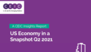 US Economy in a Snapshot Q2 2021 Report