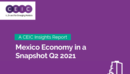Mexico Economy in a Snapshot Q2 2021 Report