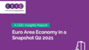 Euro Area Economy in a Snapshot Q2 2021 Report