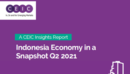 Indonesia Economy in a Snapshot Q2 2021 Report