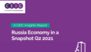 Russia Economy in a Snapshot Q2 2021 Report