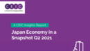 Japan Economy in a Snapshot Q2 2021 Report