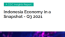 Indonesia Economy in a Snapshot Q3 2021 Report